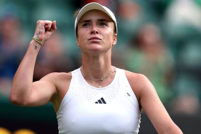 এলিনা স্বিতোলিনা